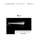 RADIOISOTOPE PRODUCTION GAS TARGET HAVING FIN STRUCTURE diagram and image