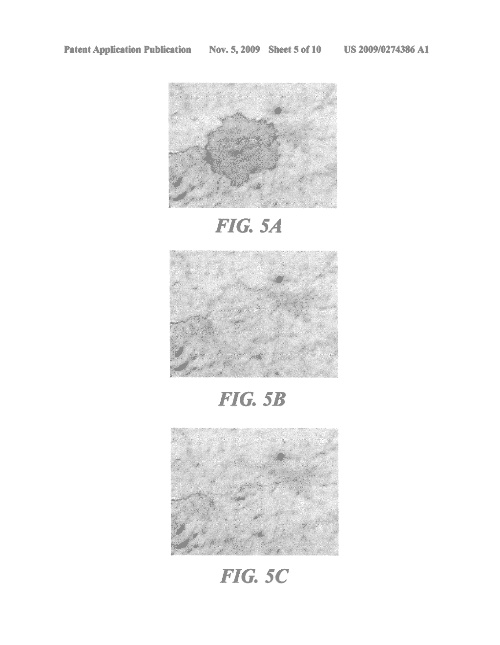 METHODS AND APPARATUS FOR IMAGE RESTORATION - diagram, schematic, and image 06