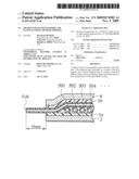 MICRO FLUID SYSTEM SUPPORT AND MANUFACTURING METHOD THEREOF diagram and image