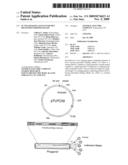 IN VIVO IMAGING AGENTS FOR MET RECEPTOR TYROSINE KINASE diagram and image