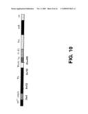 IN VIVO IMAGING AGENTS FOR MET RECEPTOR TYROSINE KINASE diagram and image