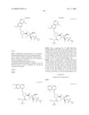 HEPATITIS C VIRUS INHIBITORS diagram and image