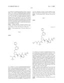 HEPATITIS C VIRUS INHIBITORS diagram and image