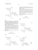 HEPATITIS C VIRUS INHIBITORS diagram and image