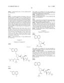 HEPATITIS C VIRUS INHIBITORS diagram and image