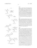 HEPATITIS C VIRUS INHIBITORS diagram and image