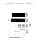 Lactobacillus Isolates Having Anti-Inflammatory Activities and Uses of the Same diagram and image