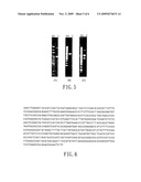 Lactobacillus Isolates Having Anti-Inflammatory Activities and Uses of the Same diagram and image