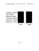 NOVEL GENE ENCODING A DNA REPAIR ENZYME AND METHODS OF USE THEREOF diagram and image