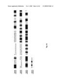 NOVEL GENE ENCODING A DNA REPAIR ENZYME AND METHODS OF USE THEREOF diagram and image