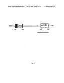 NOVEL GENE ENCODING A DNA REPAIR ENZYME AND METHODS OF USE THEREOF diagram and image