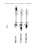 NOVEL GENE ENCODING A DNA REPAIR ENZYME AND METHODS OF USE THEREOF diagram and image