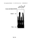 NOVEL GENE ENCODING A DNA REPAIR ENZYME AND METHODS OF USE THEREOF diagram and image