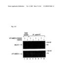 NOVEL GENE ENCODING A DNA REPAIR ENZYME AND METHODS OF USE THEREOF diagram and image