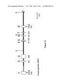 NOVEL GENE ENCODING A DNA REPAIR ENZYME AND METHODS OF USE THEREOF diagram and image