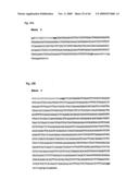 NOVEL GENE ENCODING A DNA REPAIR ENZYME AND METHODS OF USE THEREOF diagram and image