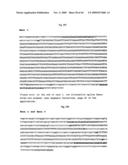 NOVEL GENE ENCODING A DNA REPAIR ENZYME AND METHODS OF USE THEREOF diagram and image