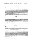 NOVEL GENE ENCODING A DNA REPAIR ENZYME AND METHODS OF USE THEREOF diagram and image