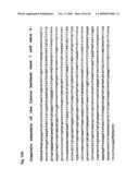 NOVEL GENE ENCODING A DNA REPAIR ENZYME AND METHODS OF USE THEREOF diagram and image