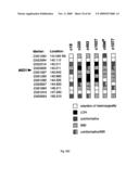 NOVEL GENE ENCODING A DNA REPAIR ENZYME AND METHODS OF USE THEREOF diagram and image