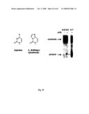 NOVEL GENE ENCODING A DNA REPAIR ENZYME AND METHODS OF USE THEREOF diagram and image