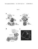 DEMETHYLATION AND INACTIVATION OF PROTEIN PHOSPHATASE 2A diagram and image