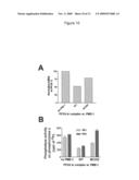 DEMETHYLATION AND INACTIVATION OF PROTEIN PHOSPHATASE 2A diagram and image