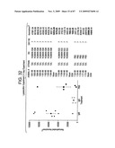 Human IgM antibodies, and diagnostic and therapeutic uses thereof particularly in the central nervous system diagram and image