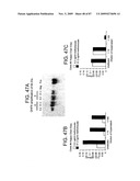 Human IgM antibodies, and diagnostic and therapeutic uses thereof particularly in the central nervous system diagram and image