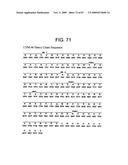 Human IgM antibodies, and diagnostic and therapeutic uses thereof particularly in the central nervous system diagram and image