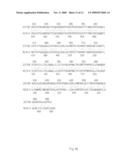 CYTOKINE RECEPTOR ZCYTOR17 MULTIMERS diagram and image