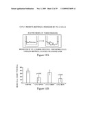 Inhibition of urokinase-type plasminogen activator (uPA) activity diagram and image