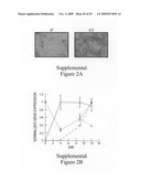 Inhibition of urokinase-type plasminogen activator (uPA) activity diagram and image