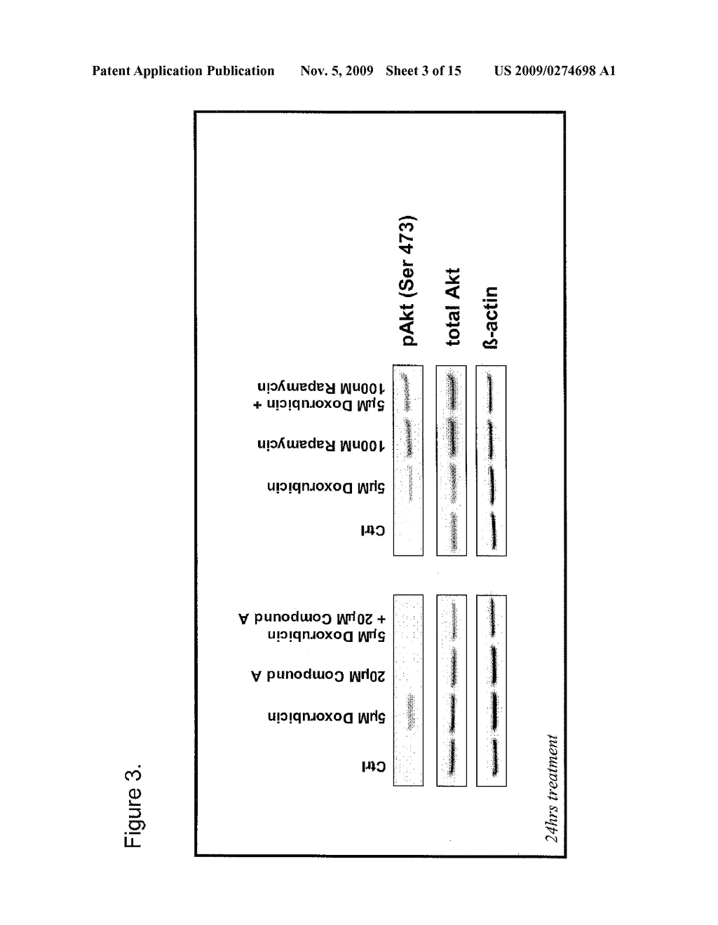 Combination anti-cancer therapy - diagram, schematic, and image 04