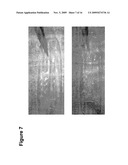 Nutraceutical Compositions From Microalgae And Related Methods of Production And Administration diagram and image