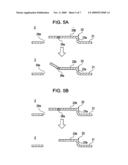 NONAQUEOUS ELECTROLYTE BATTERY diagram and image