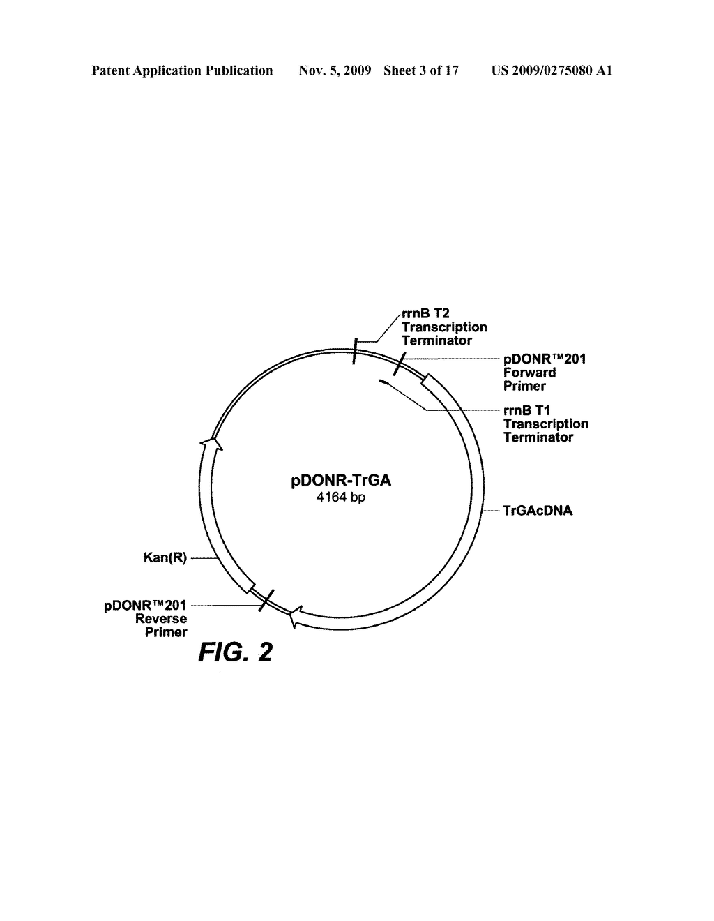 Glucoamylase variants with altered properties - diagram, schematic, and image 04