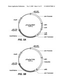 Glucoamylase variants with altered properties diagram and image