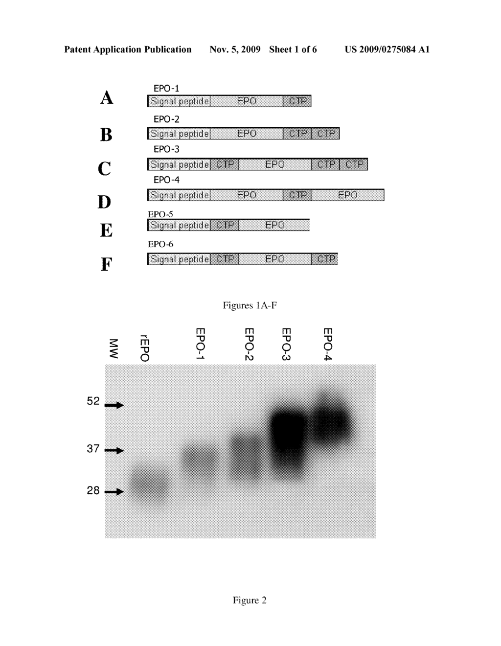 LONG-ACTING EPO POLYPEPTIDES AND DERIVATIVES THEREOF AND METHODS THEREOF - diagram, schematic, and image 02