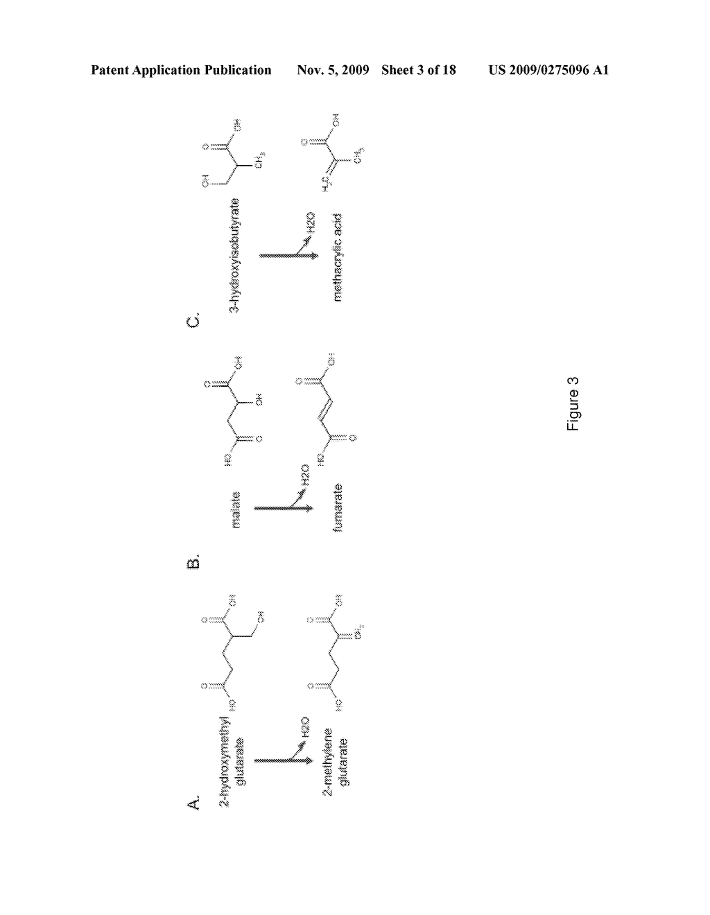 MICROORGANISMS FOR THE PRODUCTION OF METHACRYLIC ACID - diagram, schematic, and image 04