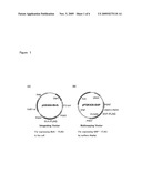 Microorganism that Displays Biotin on Cell Surface diagram and image