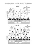 METAL-ENHANCED FLUORESCENCE FOR POLARIZATION-BASED AFFINITY ASSAYS diagram and image