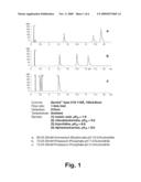 PH STABLE CHROMATOGRAPHIC MEDIA USING TEMPLATED MULTILAYER ORGANIC/INORGANIC GRAFTING diagram and image