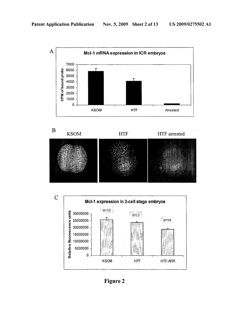 METHODS AND COMPOSITIONS FOR ENHANCING DEVELOPMENTAL POTENTIAL OF OOCYTES AND PREIMPLANTATION EMBRYOS - diagram, schematic, and image 03