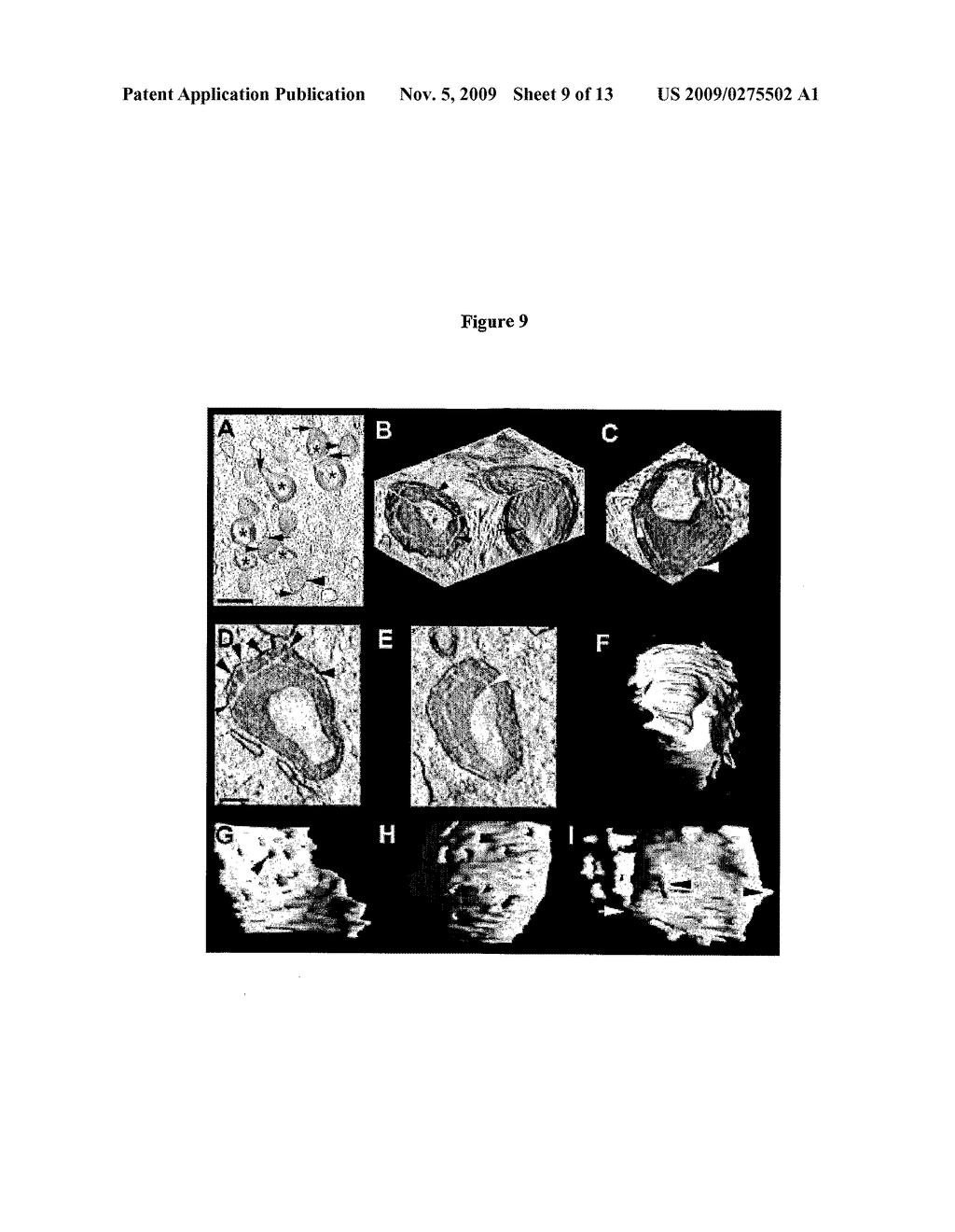 METHODS AND COMPOSITIONS FOR ENHANCING DEVELOPMENTAL POTENTIAL OF OOCYTES AND PREIMPLANTATION EMBRYOS - diagram, schematic, and image 10