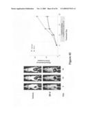 Therapeutic peptidomimetic macrocycles diagram and image