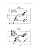 Mucoadhesive nanoparticles for cancer treatment diagram and image