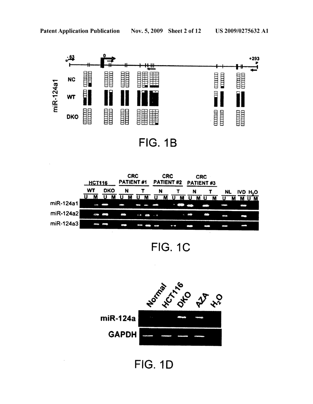 Methods of diagnosis and treatment - diagram, schematic, and image 03