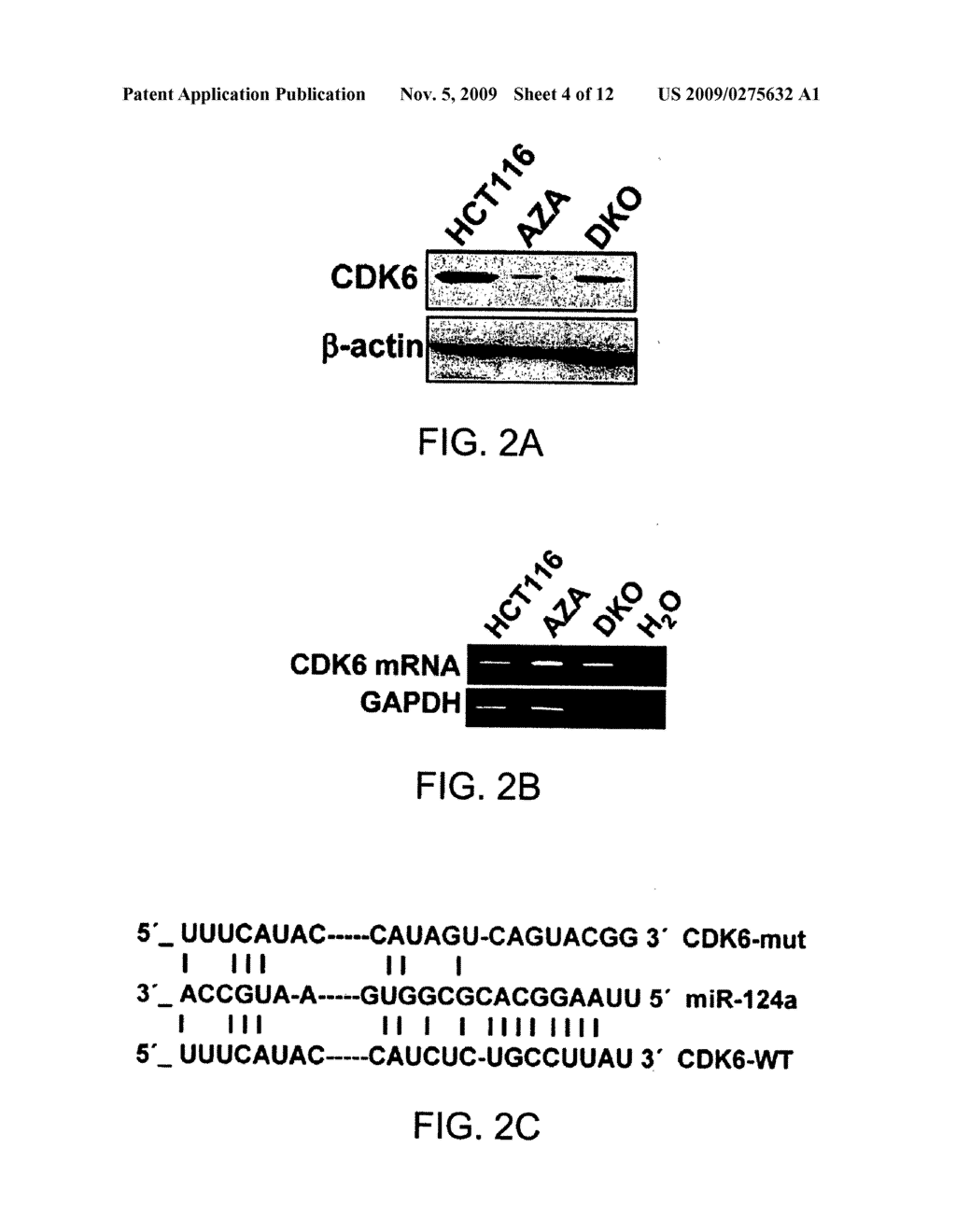 Methods of diagnosis and treatment - diagram, schematic, and image 05