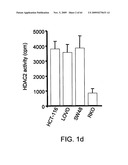 Novel Tumour Suppressor diagram and image